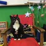 Squeak celebrates Matariki!